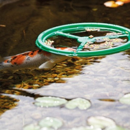 PondoFeed Ring
