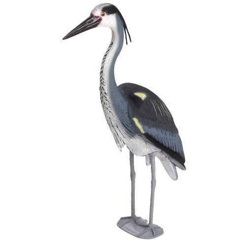 Heron