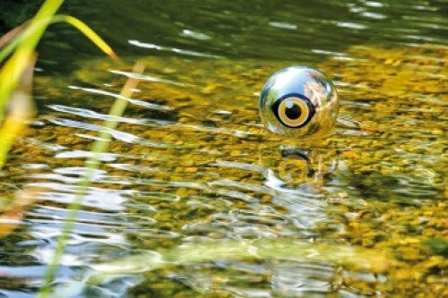 PondoScare Ball