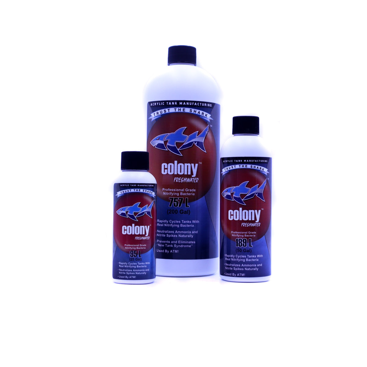 Colony