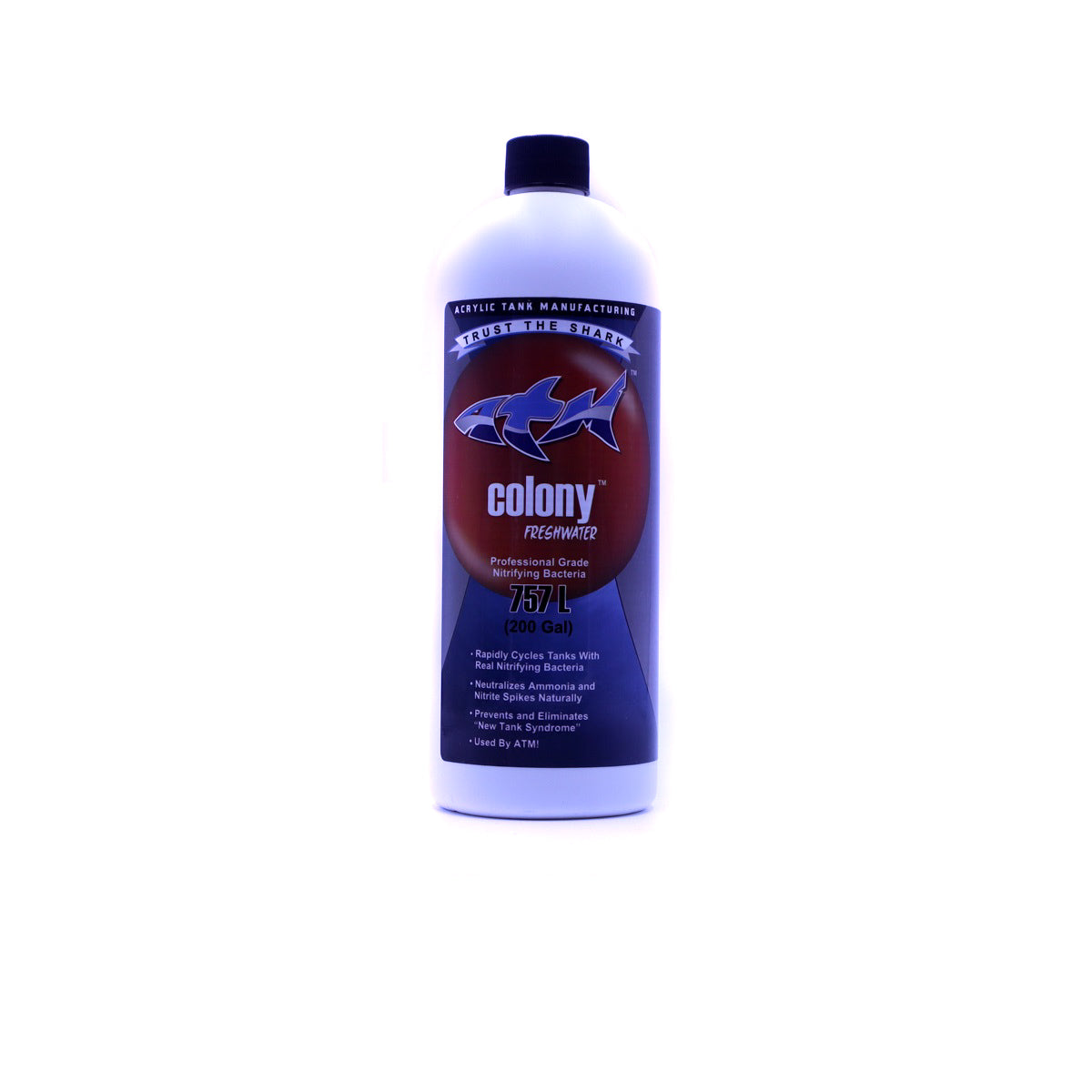 Colony