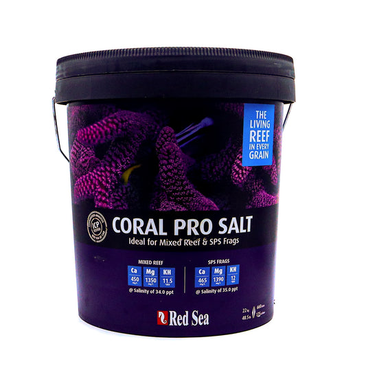 Coral Pro Salt