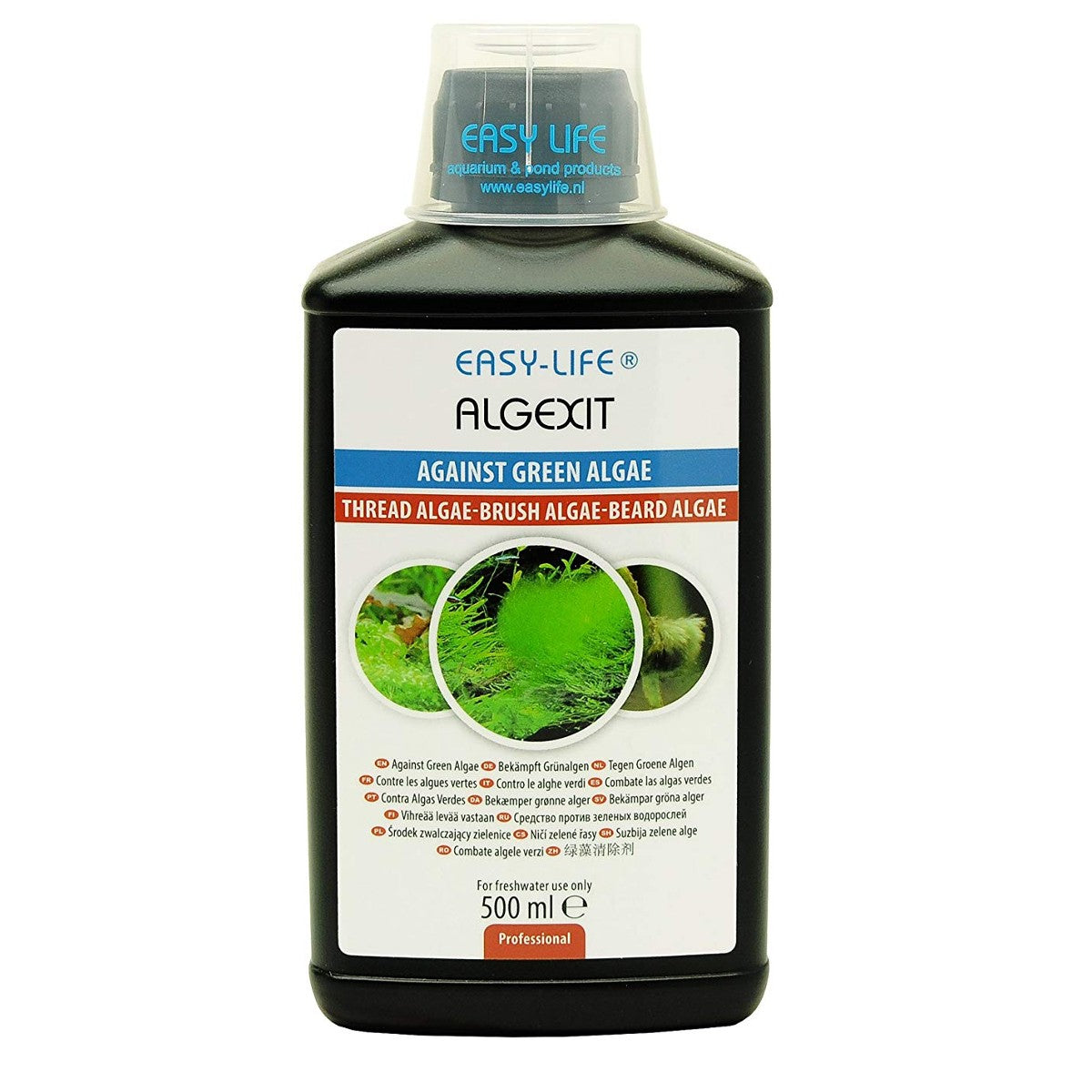 AlgExit