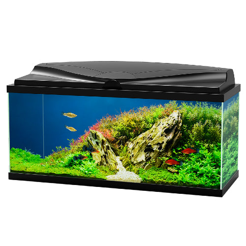 Ciano Aqua 80 LED Aquarium