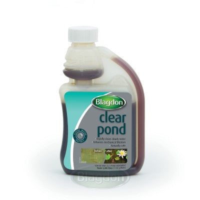 Clear Pond
