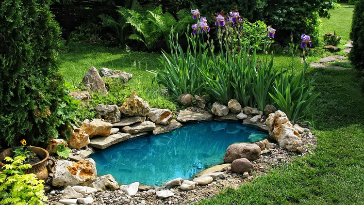 All Pond Products