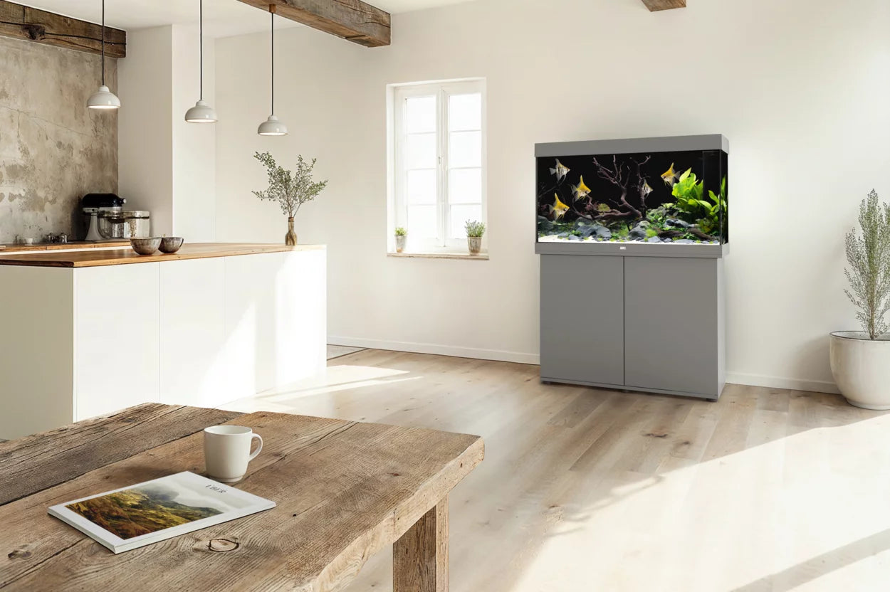 JUWEL RIO 290