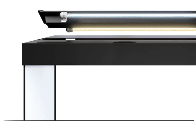 JUWEL RIO 290