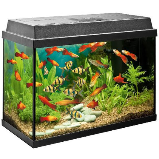 Primo 70 Aquarium