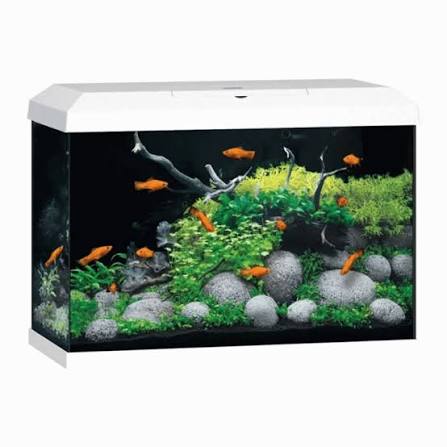 Primo 70 Aquarium
