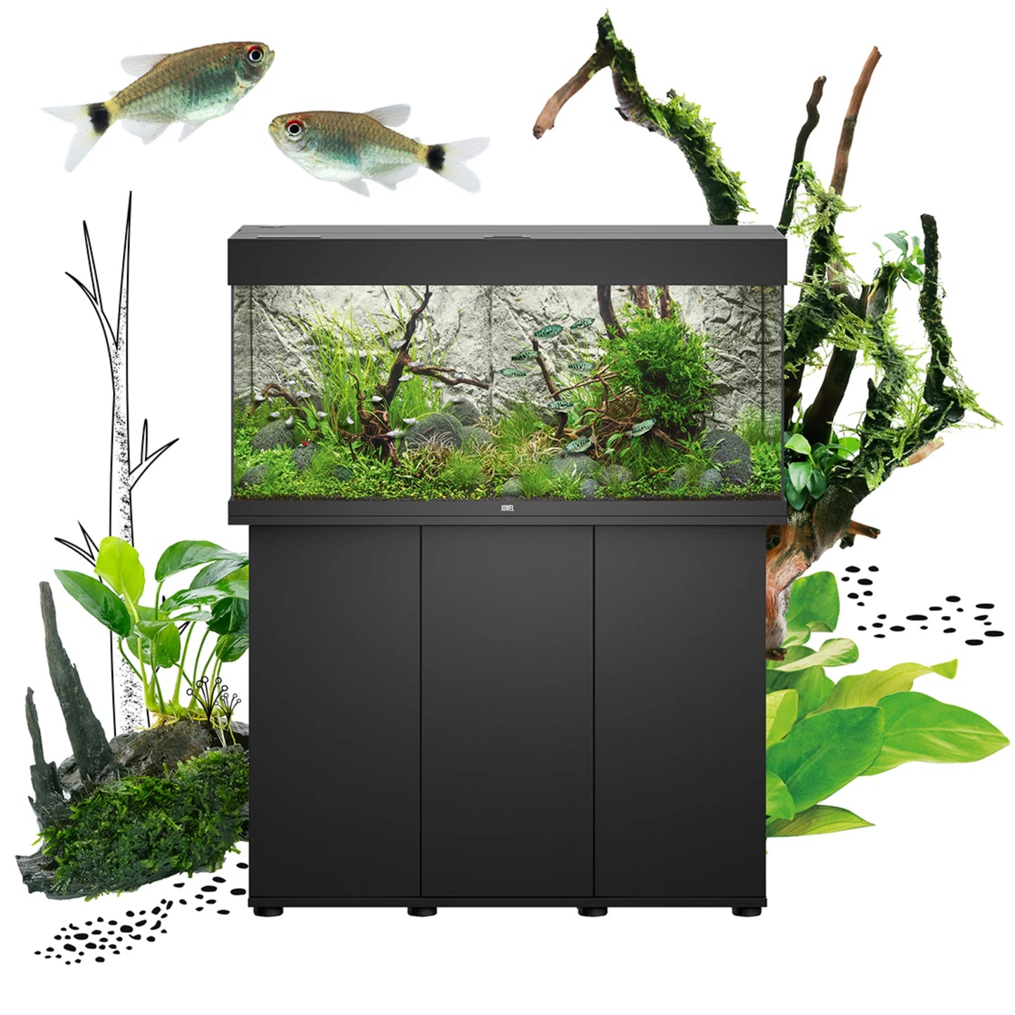 JUWEL RIO 290