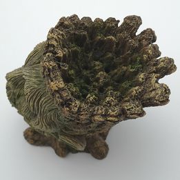 Tree Man Head