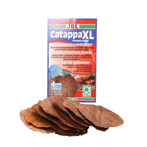 Catappa XL (10 Leaves)