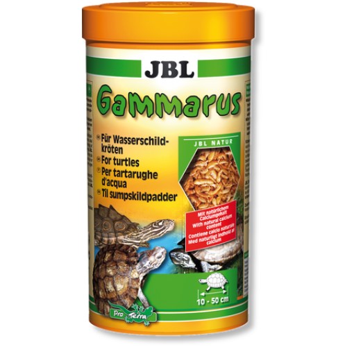 Gammarus Turtle Food