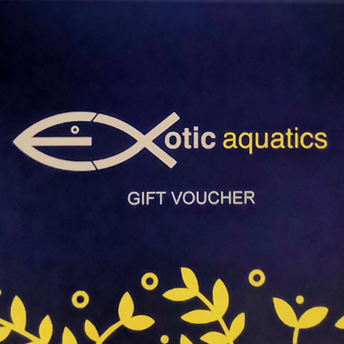 Exotic Aquatics Belfast Gift Voucher